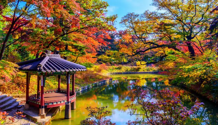 Musim di Korea bulan November